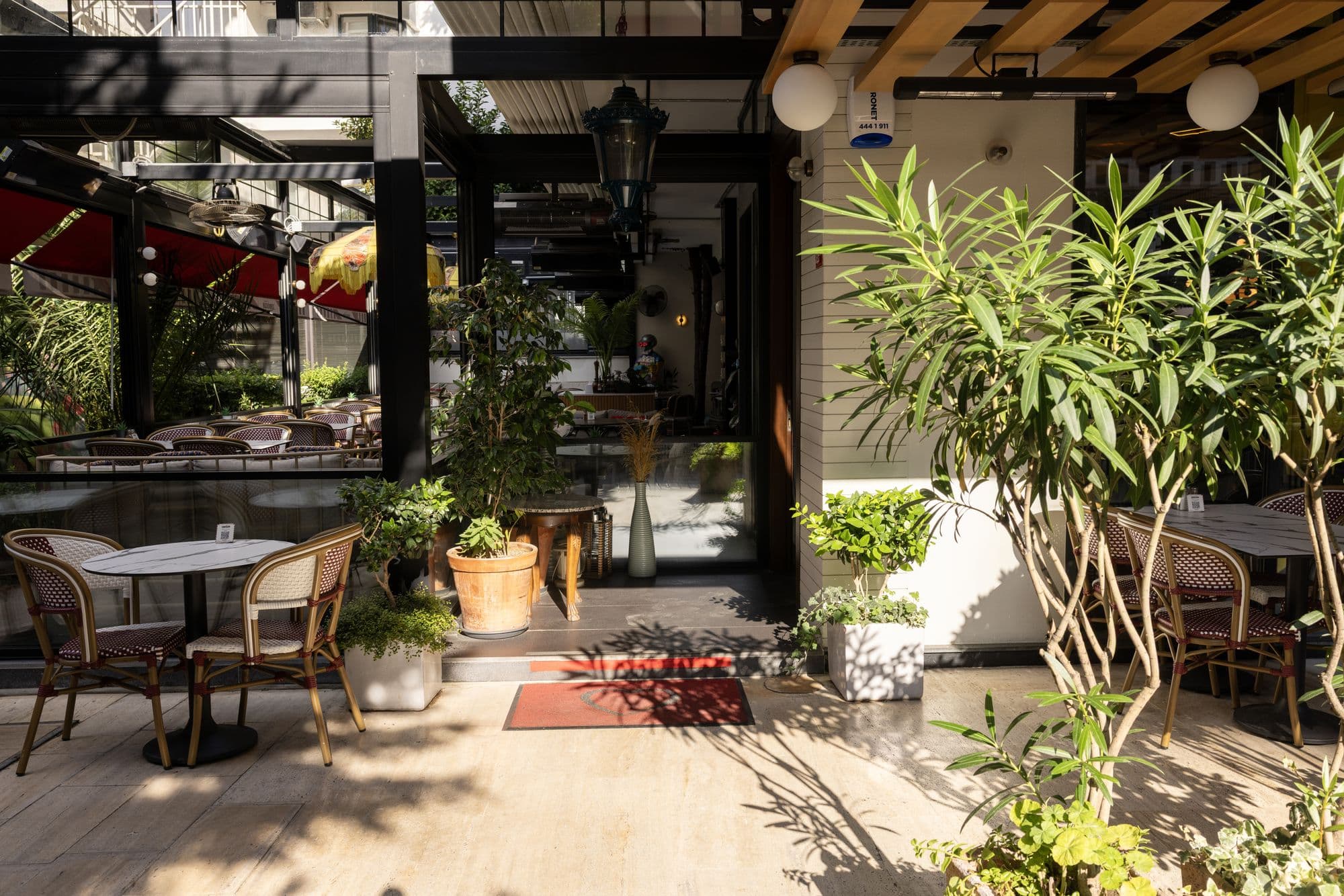 Kirpi Erenköy — 2. fotoğraf