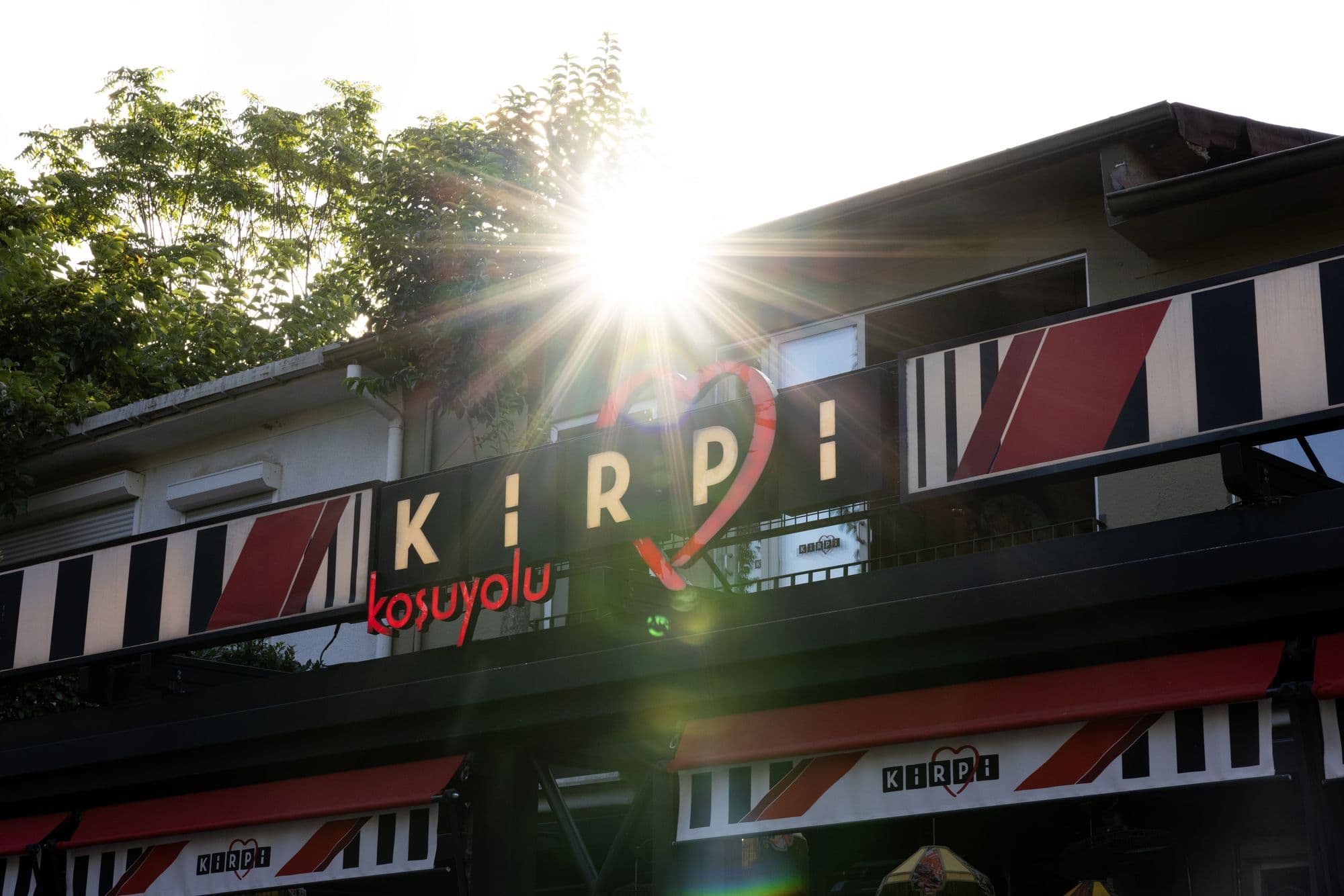Kirpi Koşuyolu — 7. fotoğraf