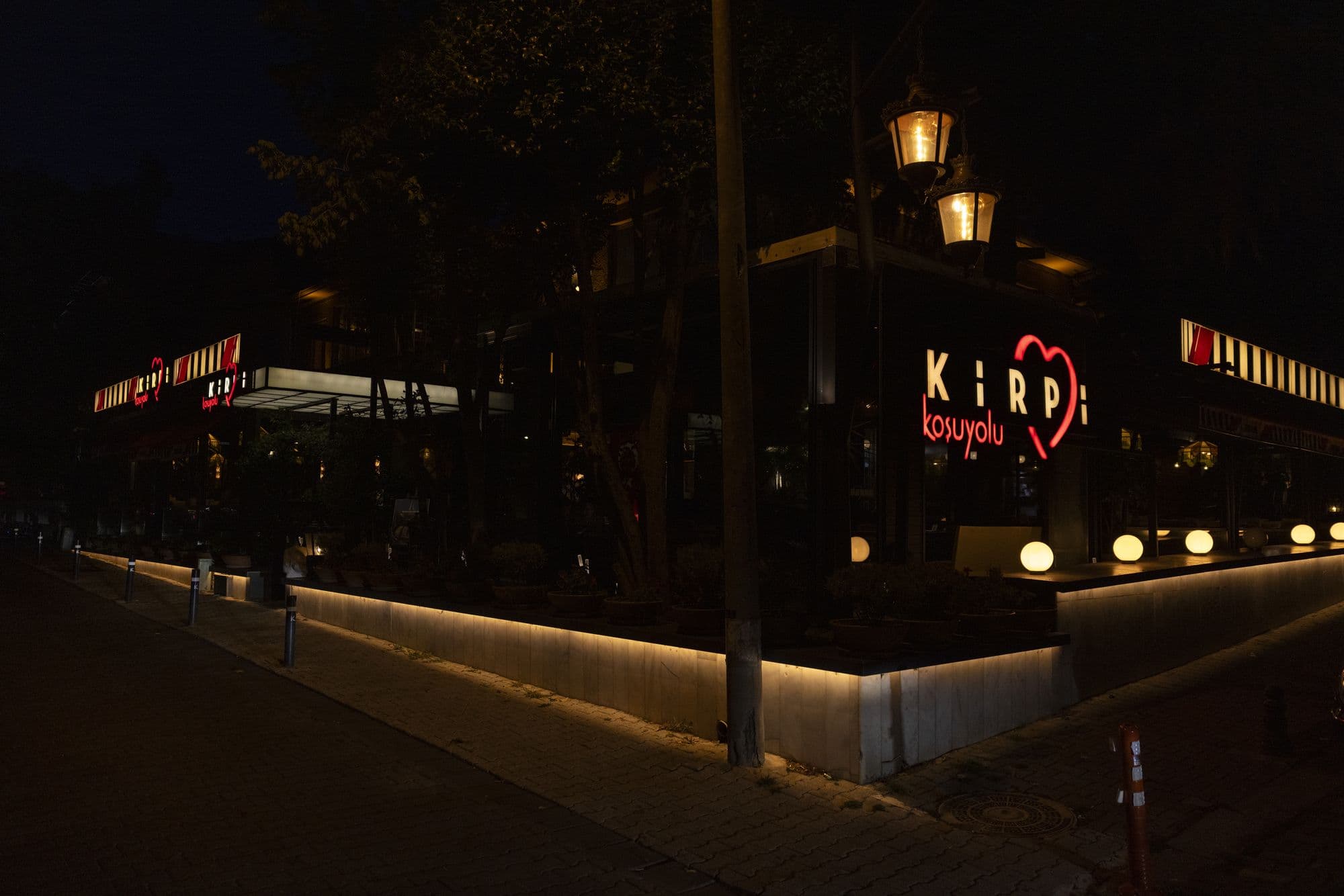 Kirpi Koşuyolu — 24. fotoğraf